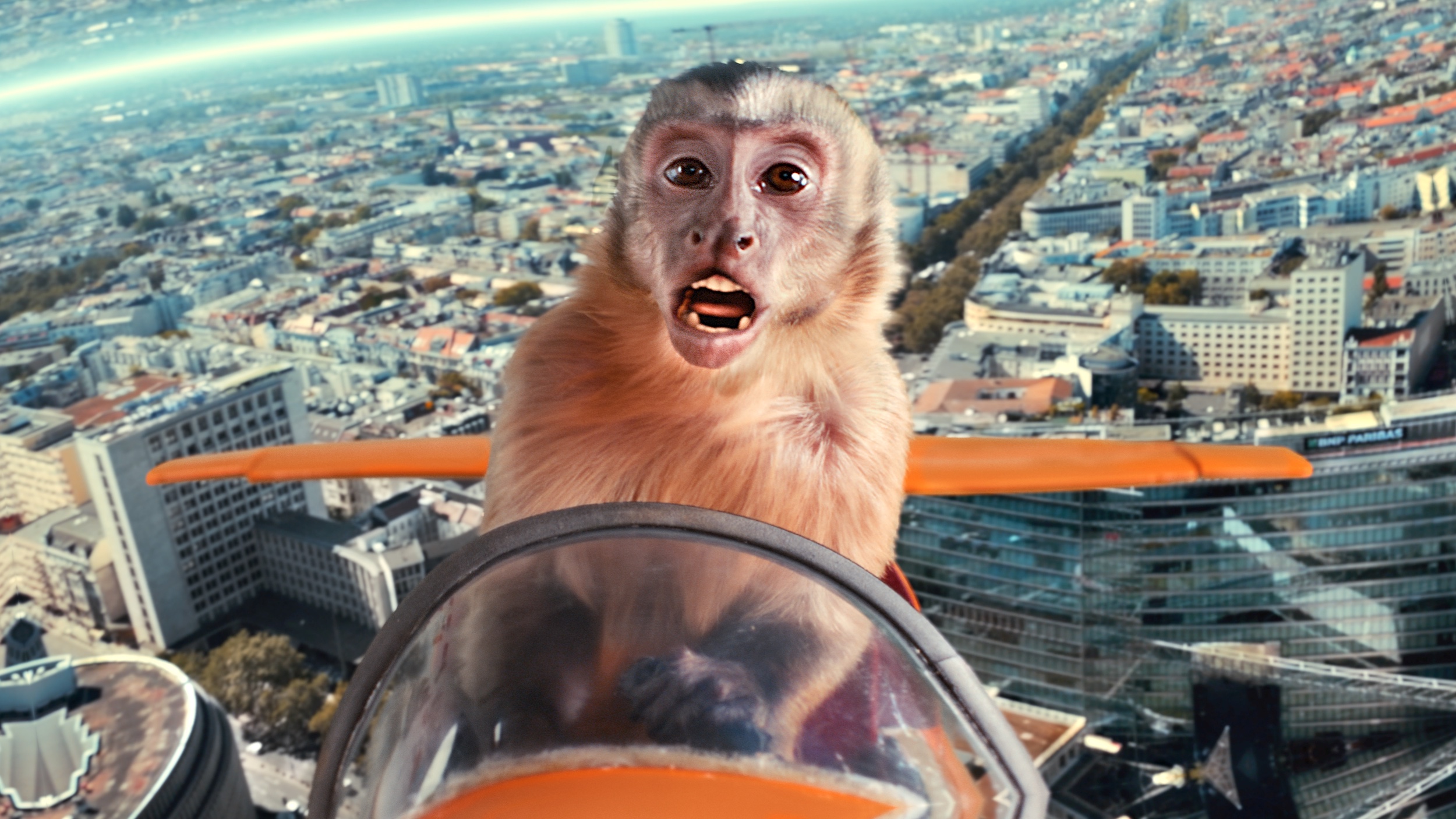 AKIKO Der fliegende Affe